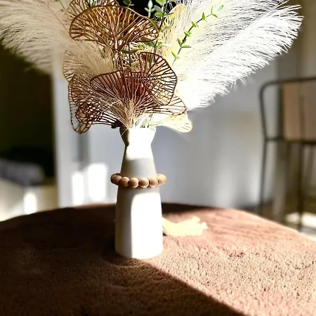 Le Paradis-terrasse-clim Appartement Nîmes